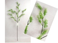 Gałązka ASPARAGUS wys. 83 cm ZIELONA z białymi końcówkami