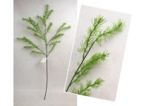 Gałązka ASPARAGUS wys. 86 cm jasno ZIELONA