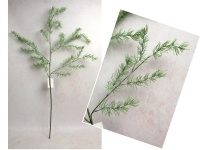 Gałązka ASPARAGUS 4-ramiona, wys. 86 cm ZIELONA bielona