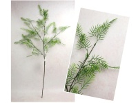 Gałązka ASPARAGUS wys. 88 cm ZIELONA