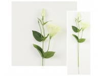 Gałązka EUSTOMA wys. 54 cm kwiat 9,5x6 cm - KREMOWA