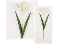 Gałązka IRYS wys. 57 cm kwiat 16x6 cm - BIAŁY