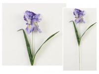 Gałązka IRYS wys. 57 cm kwiat 16x6 cm - FIOLETOWY