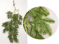 Gałązka silikonowa PE SOSNA zwis 80 cm ZIELONA