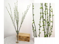 Gałązka sztuczna dekoracyjna WIOSENNA zielone listki 88 cm