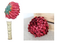 Główka kwiatowa CHRYZANTEMA ANANAS 13x6 cm BORDOWO-BRĄZOWA cieniowana