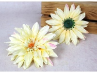 Główka kwiatowa DALIA 17 cm jasno ŻÓŁTA z różowym cieniowaniem