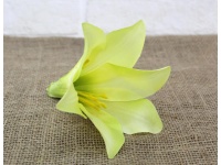Główka kwiatowa LILIA 15x15 cm żółto-limonkowa #17