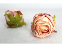 Główka kwiatowa RÓŻA zasuszona 9x8 cm BRZOSKWINIOWA cieniowana