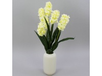 HIACYNT wys. 64 cm 7 łodyg (7 kwiatów 13 cm) KREMOWO-LIMONKOWY