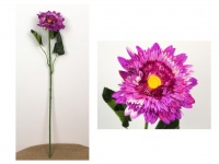 Kwiat ala ASTER KSIĄŻĘCY 82 cm, kwiat 13 cm - RÓŻOWY CIENIOWANY