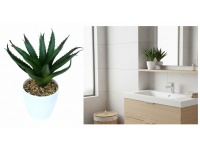 Kwiat ALOES w doniczce 18x7,5 cm ZIELONY