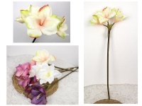 Kwiat AMARYLIS wys. 70 cm (3 kwiaty 14x10 cm) MIX KOLOR