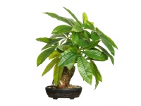 Kwiat BONSAI w plastikowej doniczce 45x17x11,5 cm