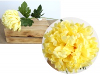 Kwiat CHRYZANTEMA - ANANAS wys. 63 cm (kwiat 13x7 cm) - ŻÓŁTY #B