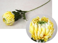Kwiat CHRYZANTEMA ANANAS wys. 69 cm (główka 11x8 cm) ŻÓŁTA z zielonym środkiem