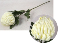 Kwiat CHRYZANTEMA ANANAS wys. 70 cm (główka 13x12 cm) ECRU