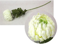 Kwiat CHRYZANTEMA ANANAS wys. 69 cm (główka 11x8 cm) BIAŁA z zielonym środkiem