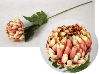 Kwiat CHRYZANTEMA ANANAS wys. 69 cm (główka 11x8 cm) KORALOWA