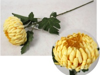 Kwiat CHRYZANTEMA ANANAS wys. 68 cm (główka 14x8 cm) ŻÓŁTA