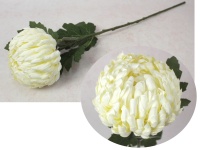 Kwiat CHRYZANTEMA ANANAS wys. 68 cm (główka 14x8 cm) ŚMIETANOWA