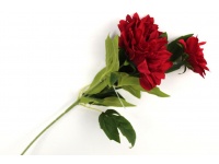 Kwiat DALIA 3 kwiaty (10-13,5 cm) wys. 62 cm CZERWONA