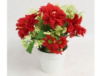 Kwiat DALIA w białej doniczce wys. 21 cm (kwiat 8x2 cm) CZERWONA