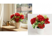 Kwiat DALIA w białej doniczce wys. 21 cm (kwiat 8x2 cm) CZERWONA