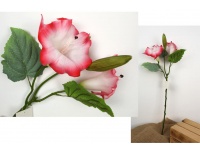 Kwiat DATURA gumowa wys. 69 cm (2 główki ok. 12 cm +1pąk )  BIAŁO RÓŻOWY