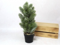 Kwiat, drzewko silikonowe PE JODŁA ośnieżona w doniczce 35 cm