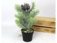 Kwiat, drzewko silikonowe PE JODŁA z szyszkami ośnieżona w doniczce 30 cm