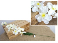 Kwiat FREZJA wys. 66 cm (kwiat 8x3 cm) ŚMIETANOWY