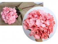 Kwiat HORTENSJA marmurkowa drzewiasta podłużna wys. 75 cm (kwiat 22 cm) RÓŻOWO-ŁOSOSIOWA