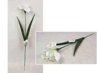 Kwiat IRYS wys. 59 cm ( kwiat 11x7 cm) BIAŁY