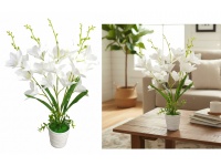 Kwiat MAGNOLIA w plastikowej doniczce wys. 55 cm 5 łodyg (20 główek 13 cm) BIAŁA