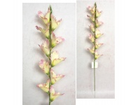 Kwiat MALWA wys. 80 cm (10 kwiatów 8 cm) RÓŻOWO-KREMOWA