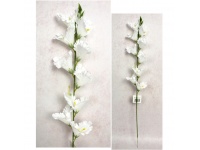 Kwiat MALWA wys. 80 cm (10 kwiatów 8 cm) BIAŁA