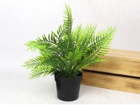 Kwiat PAPROĆ silikonowa PE w doniczce wys. 27 cm ZIELONA