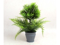 Kwiat PAPROĆ, TUJA w szarej doniczce wys. 32 cm