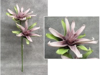 Kwiat piankowy MAGNOLIA DWIE GŁÓWKI wys. 75 (kwiat 35 cm) RÓŻ BRUDNY