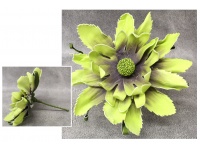 Kwiat piankowy MAGNOLIA postrzępiona wys. 30 (kwiat 35 cm) ZIELONY CIEMNY Z FIOLETOWYM ŚRODKIEM