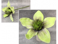 Kwiat piankowy MAGNOLIA wys. 50 (kwiat 28 cm) ZIELONY