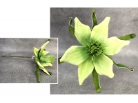 Kwiat piankowy MAGNOLIA Z ZIELONYMI LISTKAMI wys. 53 (główka 27x14 cm) ZIELONY