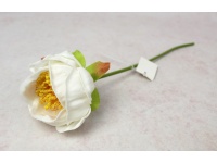 Kwiat PIWONIA piankowy wys. 34 cm (kwiat 7x5 cm) BIAŁA