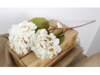 Kwiat PIWONIA wys. 70 cm (główka 11-12 cm) BIAŁA