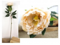 Kwiat PIWONIA wys. 80 cm (główka 11 cm) ECRU