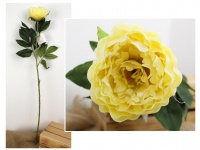 Kwiat PIWONIA wys. 80 cm (główka 11 cm) ŻÓŁTY