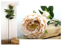 Kwiat PIWONIA wys. 85 cm (główka 12 cm + pąk 4x7 cm) ECRU