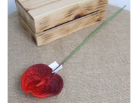 Kwiat pojedynczy ANTURIUM gumowy wys. 60 cm (kwiat 14x12 cm) - bordowy cieniowany