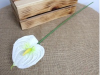 Kwiat pojedynczy ANTURIUM gumowy wys. 60 cm (kwiat 14x12 cm) - biały